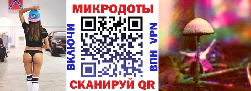 Псилоцибиновые грибы Psilocybe  гидра   Качканар  где можно купить  